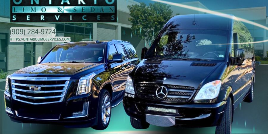 Winery Hopping with a Limousine